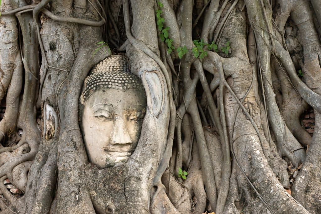 Ayutthaya Buddha Head in Tree Roots, Buddhist temple Wat Mahatha